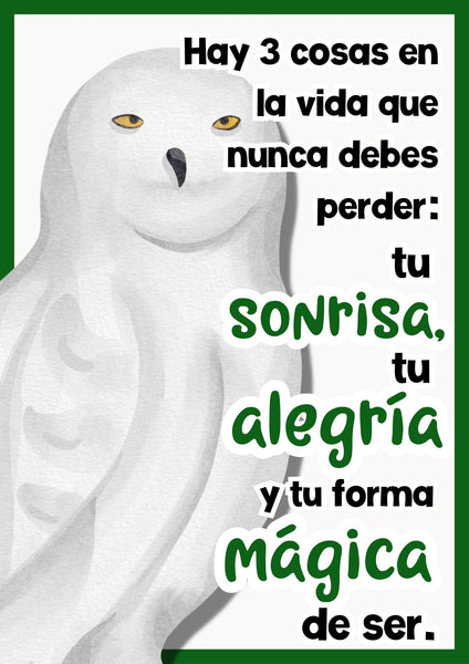 Afiches Wizardly World Español